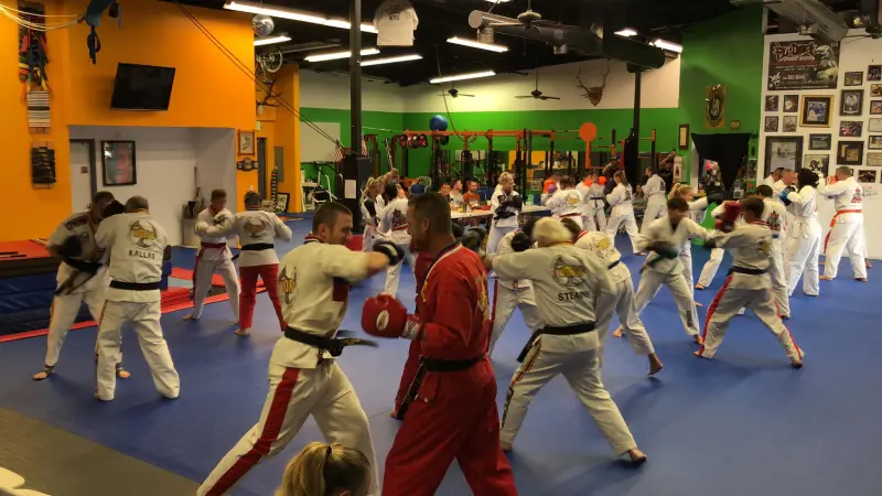 MMA / Muay Thai